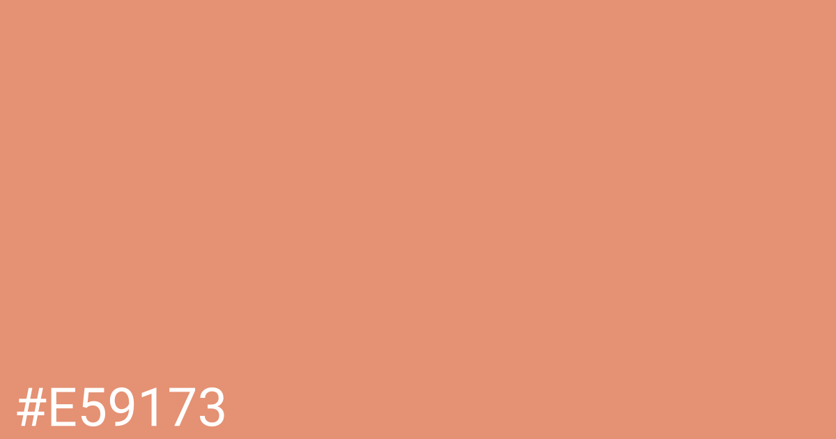 Hex color #e59173 graphic