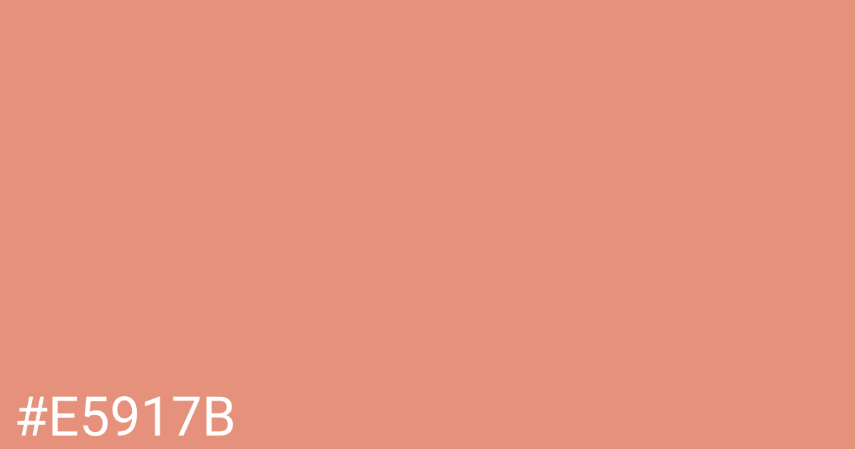 Hex color #e5917b graphic