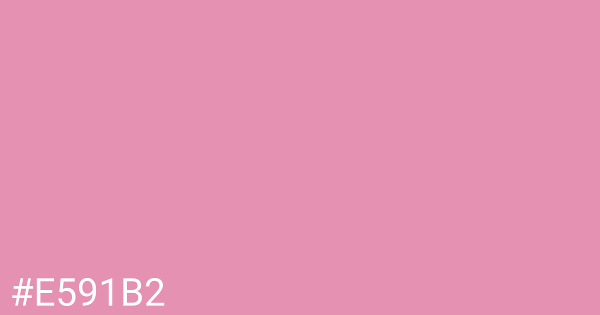 Hex color #e591b2 graphic