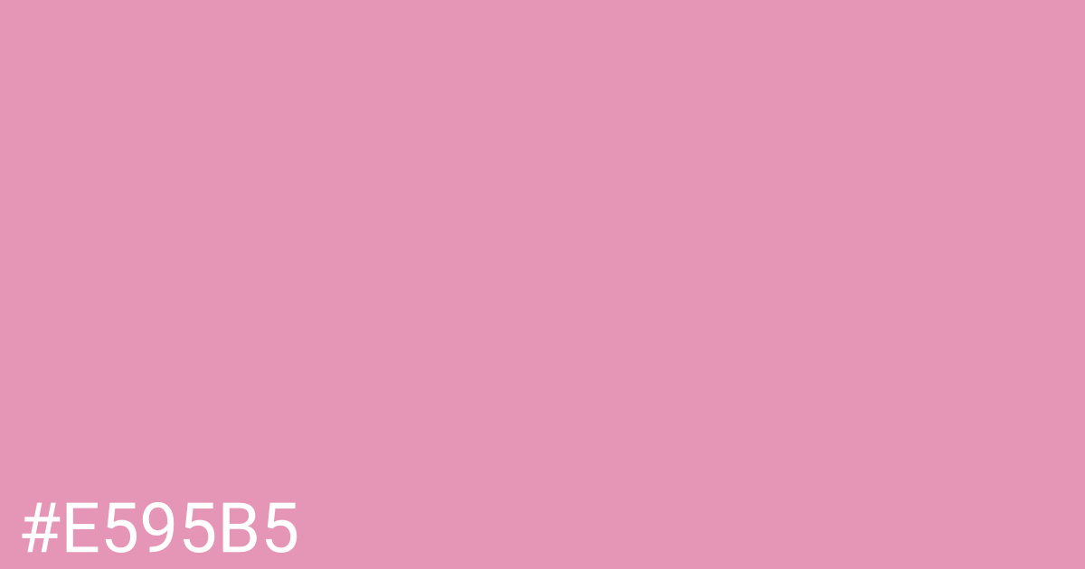 Hex color #e595b5 graphic