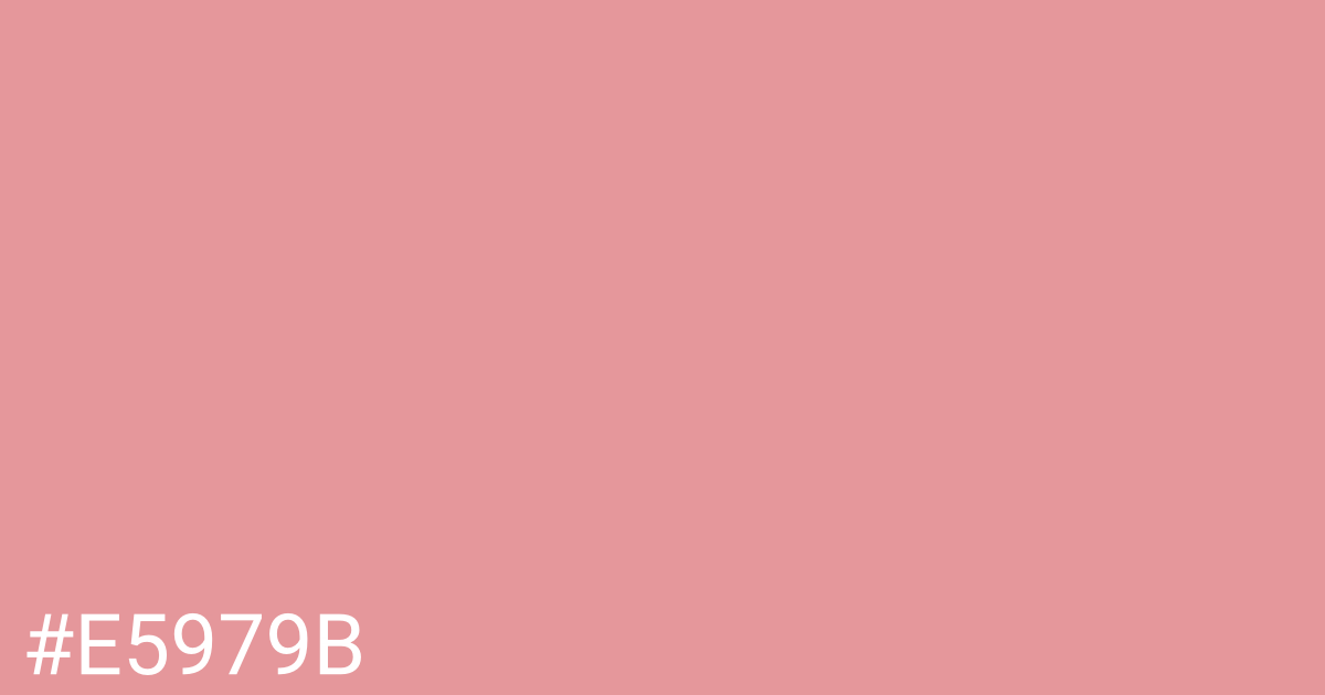 Hex color #e5979b graphic