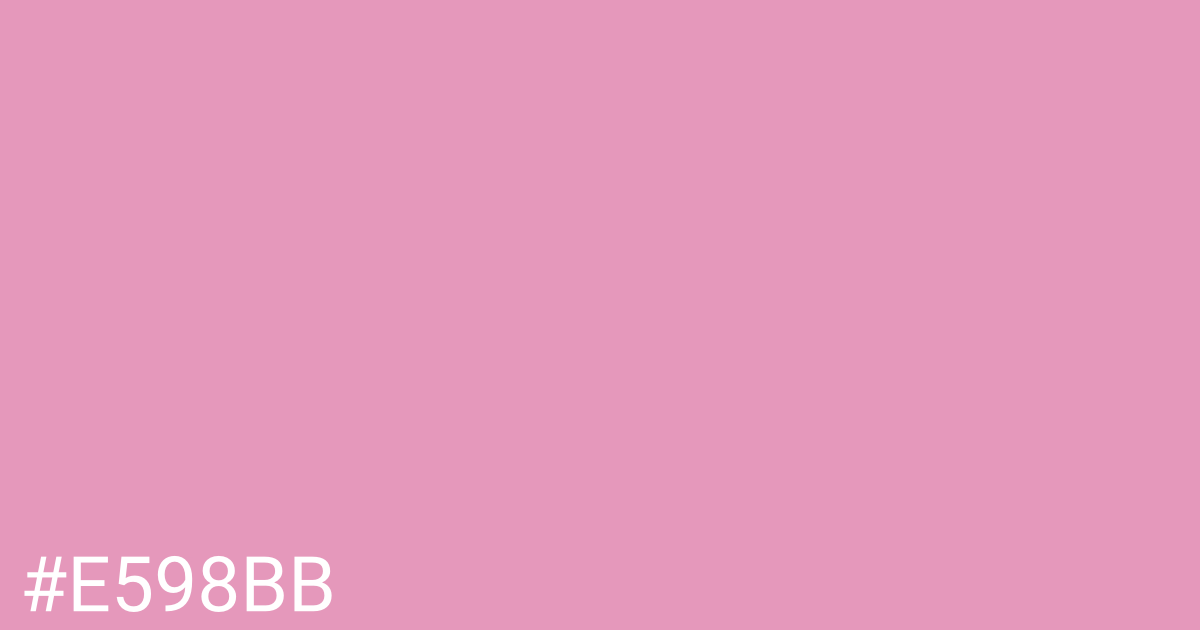 Hex color #e598bb graphic