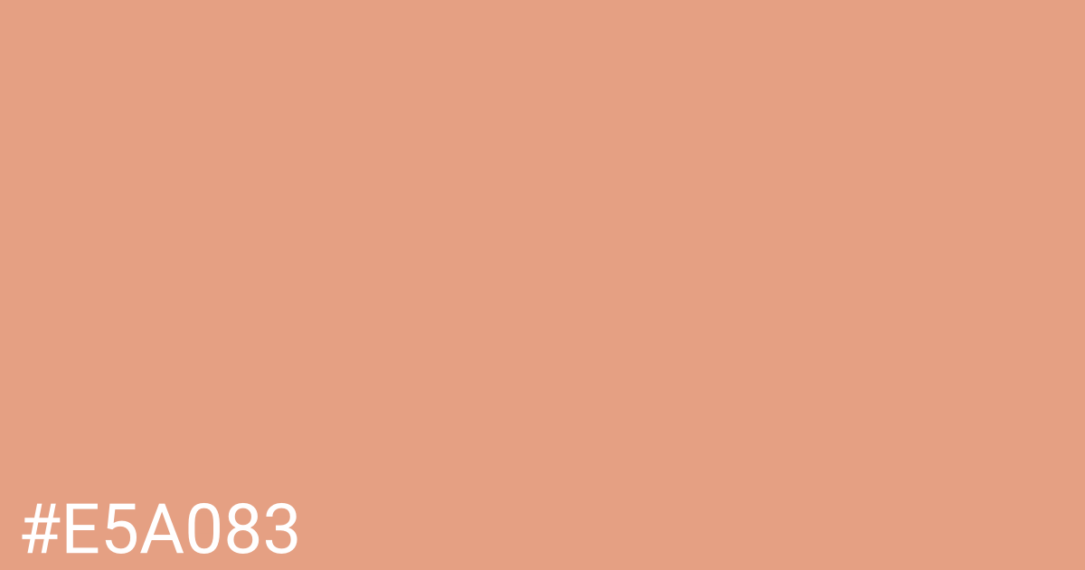 Hex color #e5a083 graphic