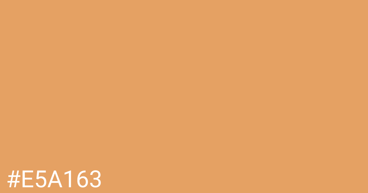 Hex color #e5a163 graphic