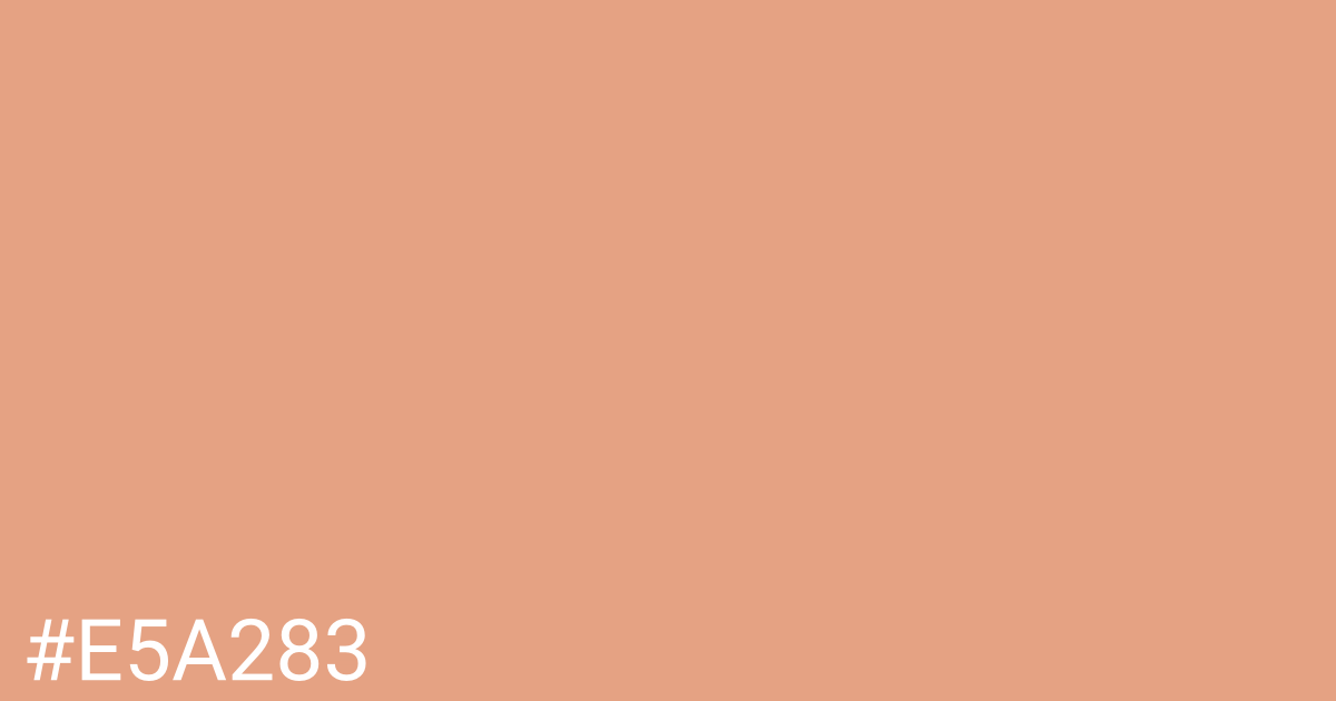 Hex color #e5a283 graphic