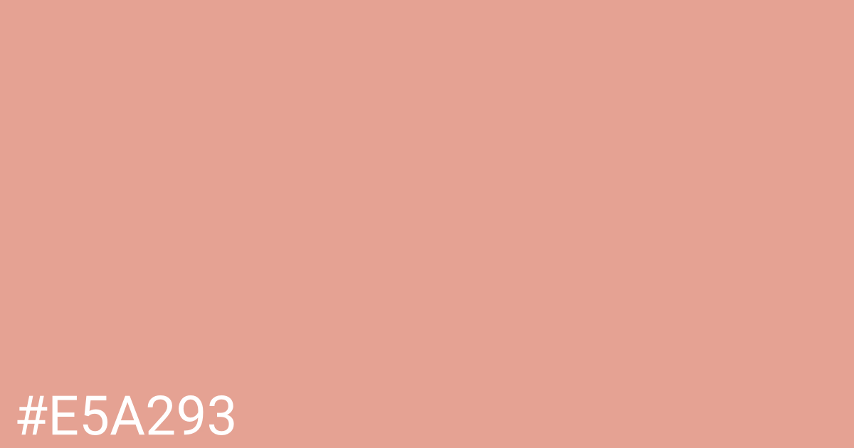 Hex color #e5a293 graphic