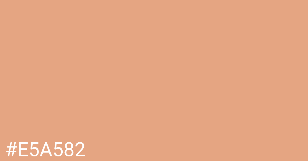 Hex color #e5a582 graphic