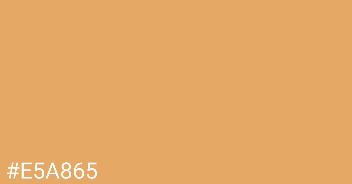 Hex color #e5a865 graphic