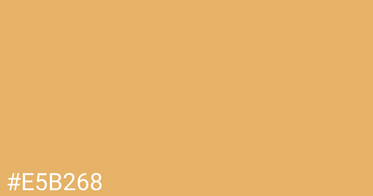 Hex color #e5b268 graphic