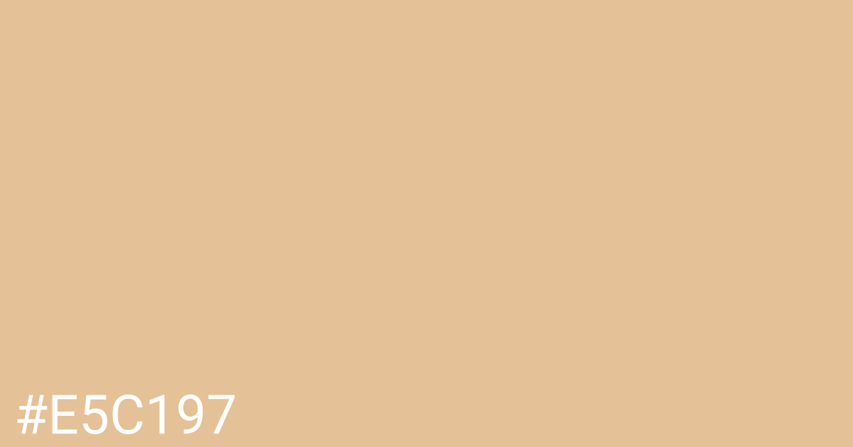 Hex color #e5c197 graphic