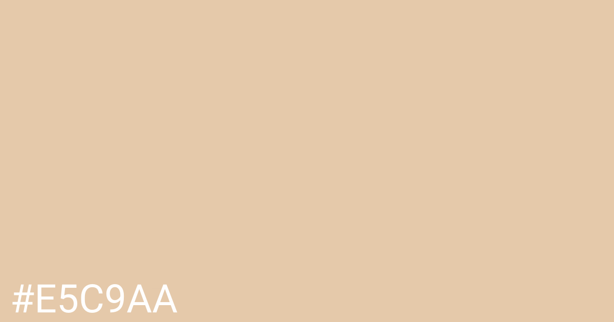 Hex color #e5c9aa graphic