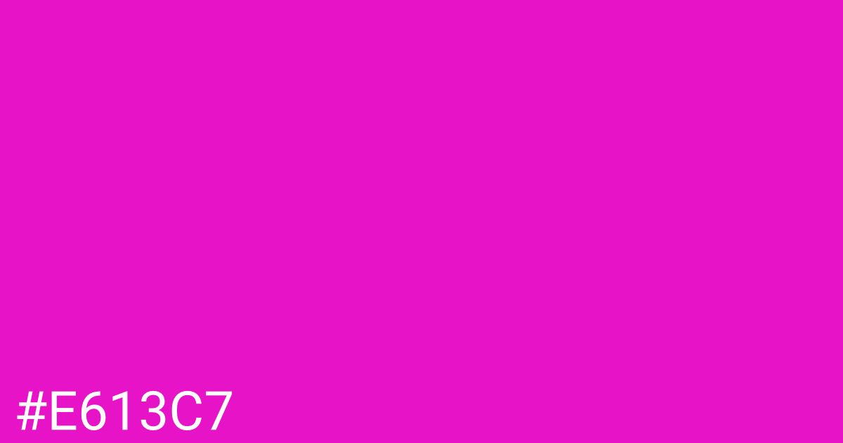 Hex color #e613c7 graphic