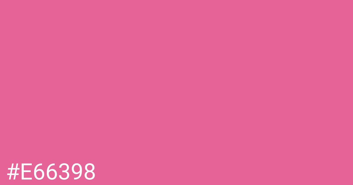 Hex color #e66398 graphic