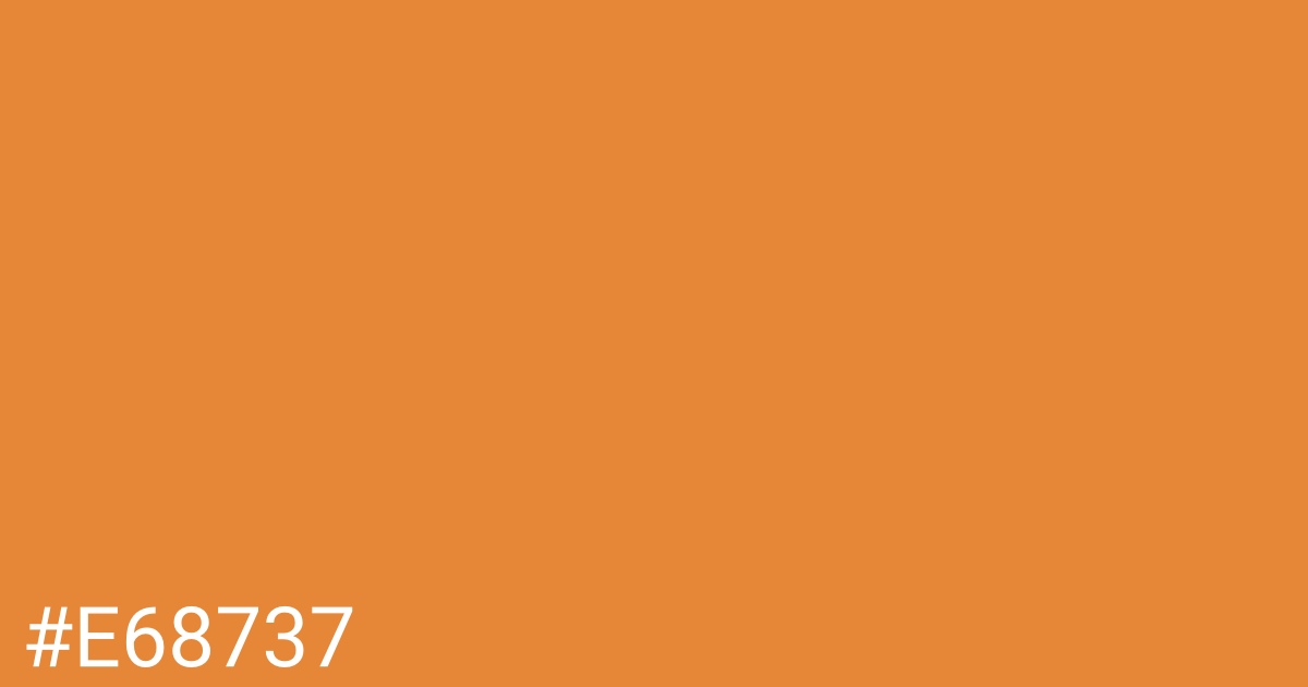 Hex color #e68737 graphic