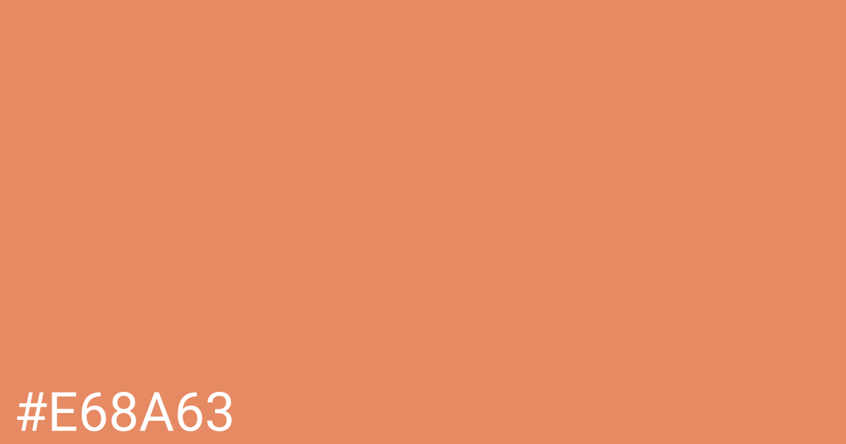 Hex color #e68a63 graphic