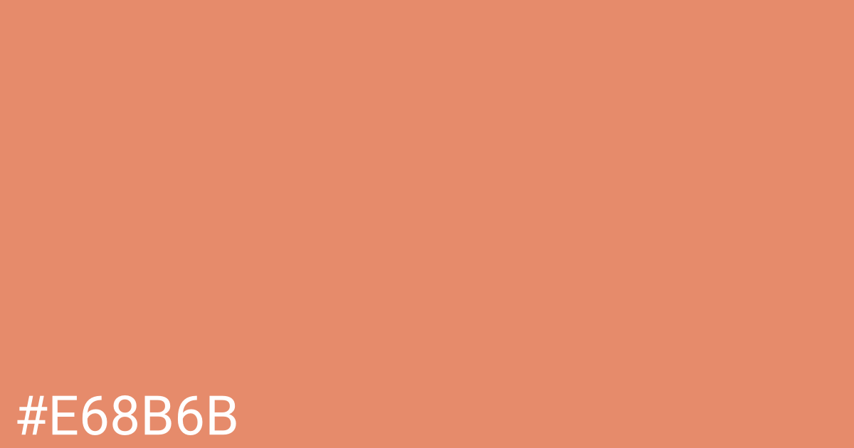 Hex color #e68b6b graphic