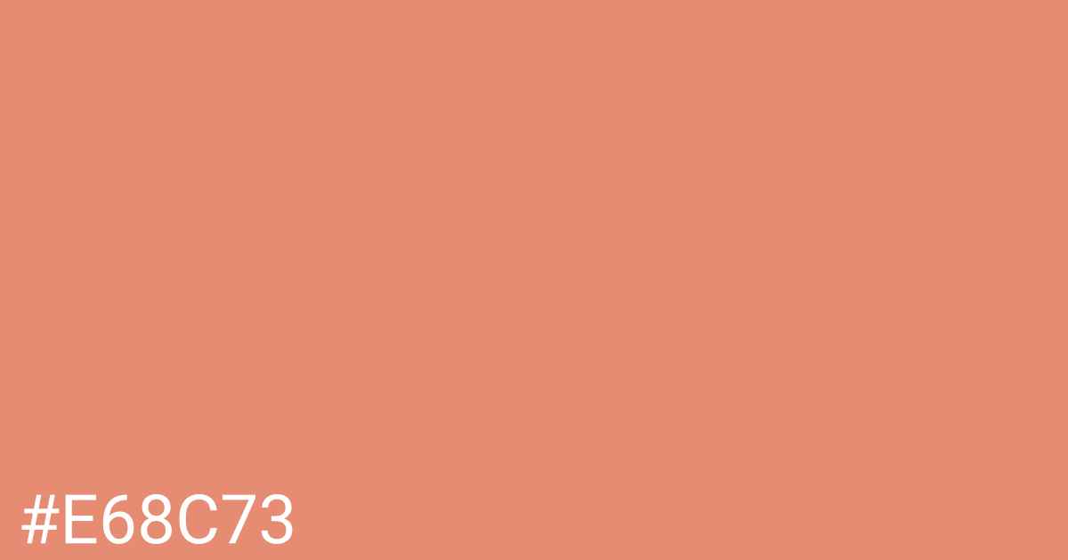 Hex color #e68c73 graphic