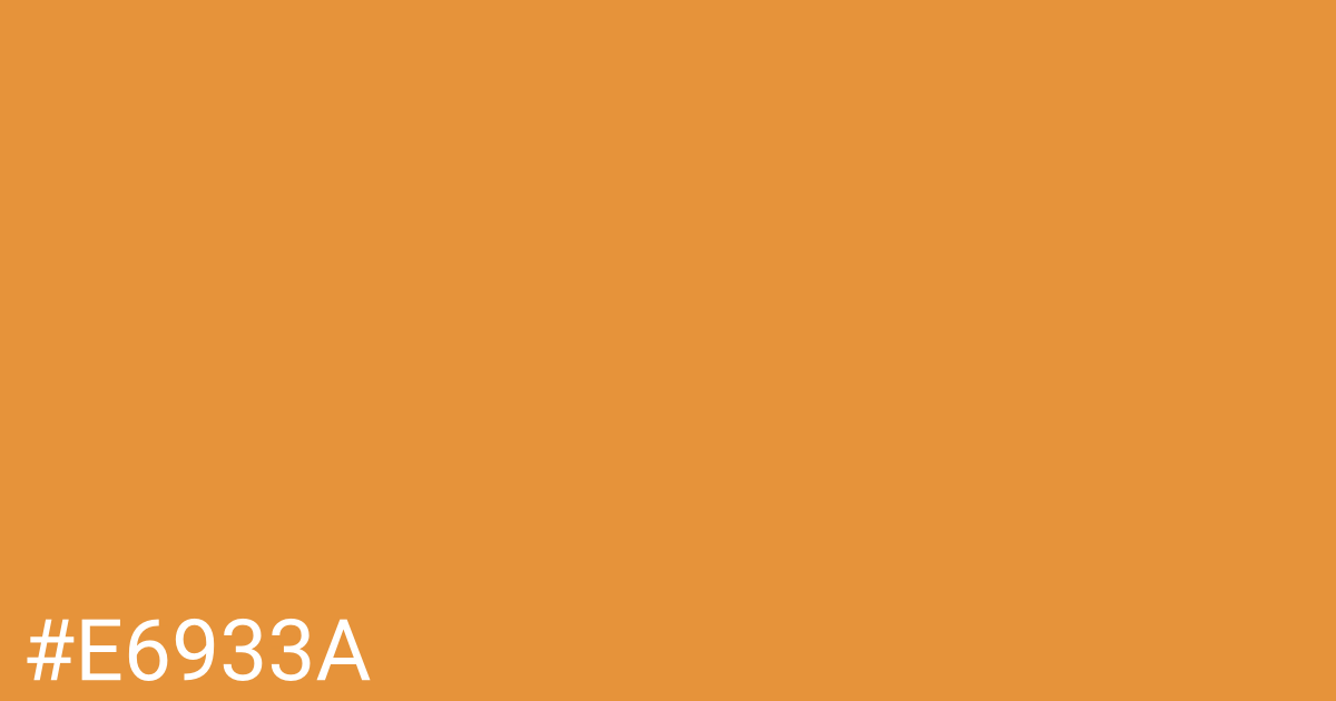 Hex color #e6933a graphic