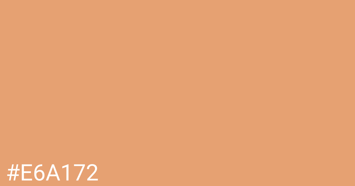 Hex color #e6a172 graphic