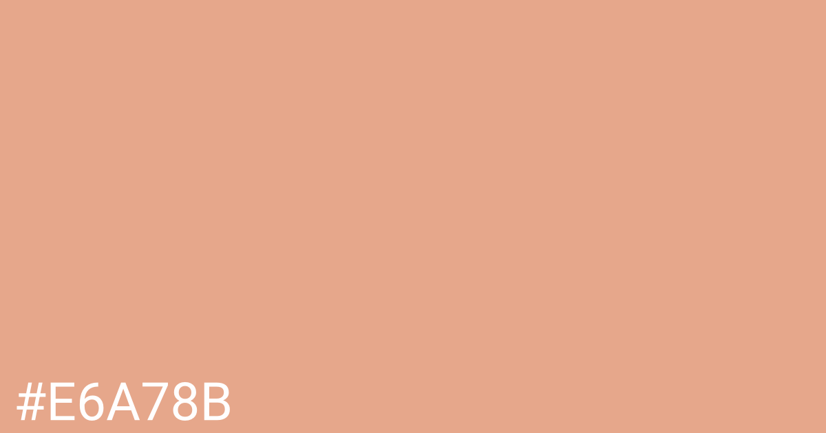 Hex color #e6a78b graphic