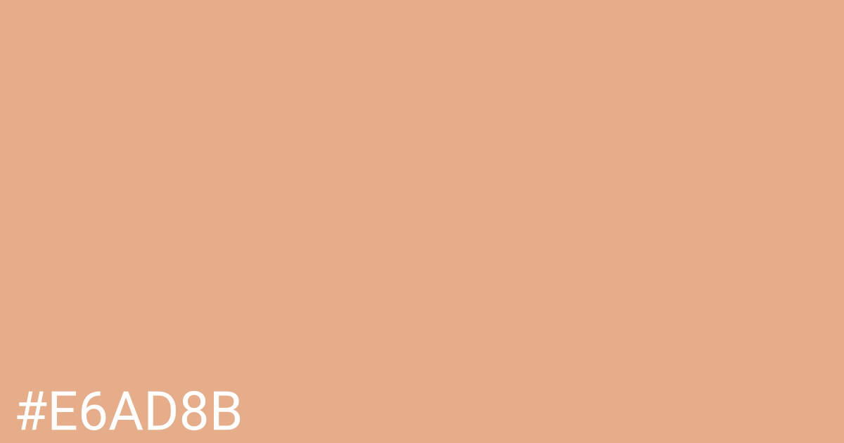 Hex color #e6ad8b graphic