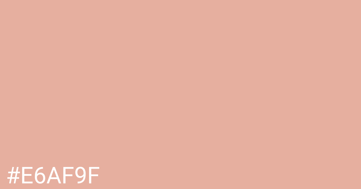 Hex color #e6af9f graphic