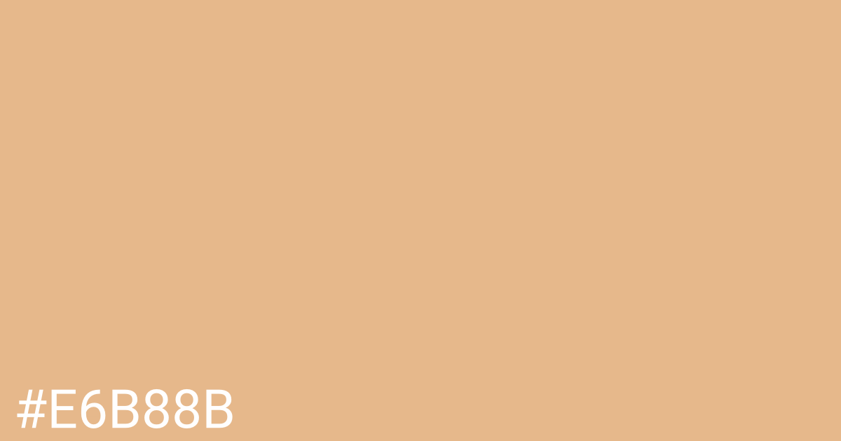 Hex color #e6b88b graphic