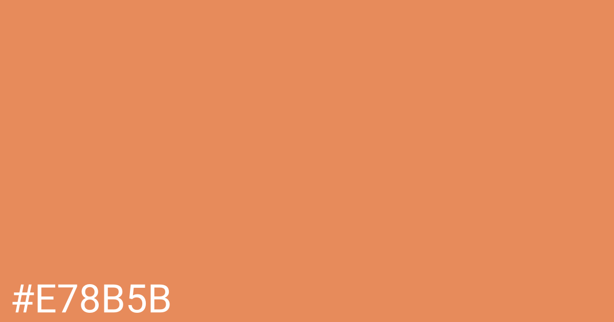 Hex color #e78b5b graphic