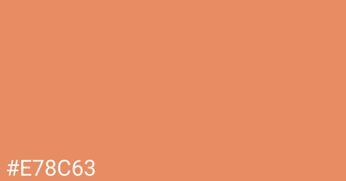 Hex color #e78c63 graphic