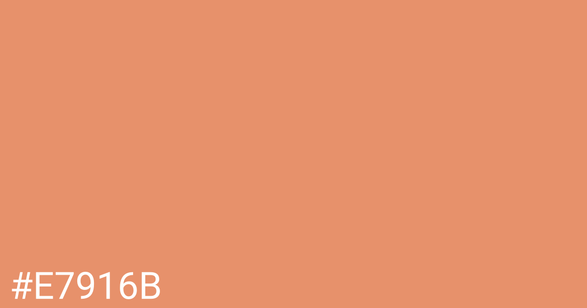 Hex color #e7916b graphic
