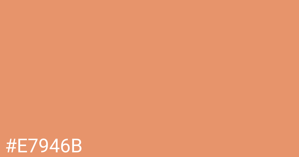 Hex color #e7946b graphic