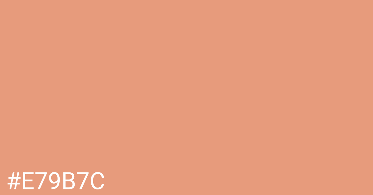 Hex color #e79b7c graphic