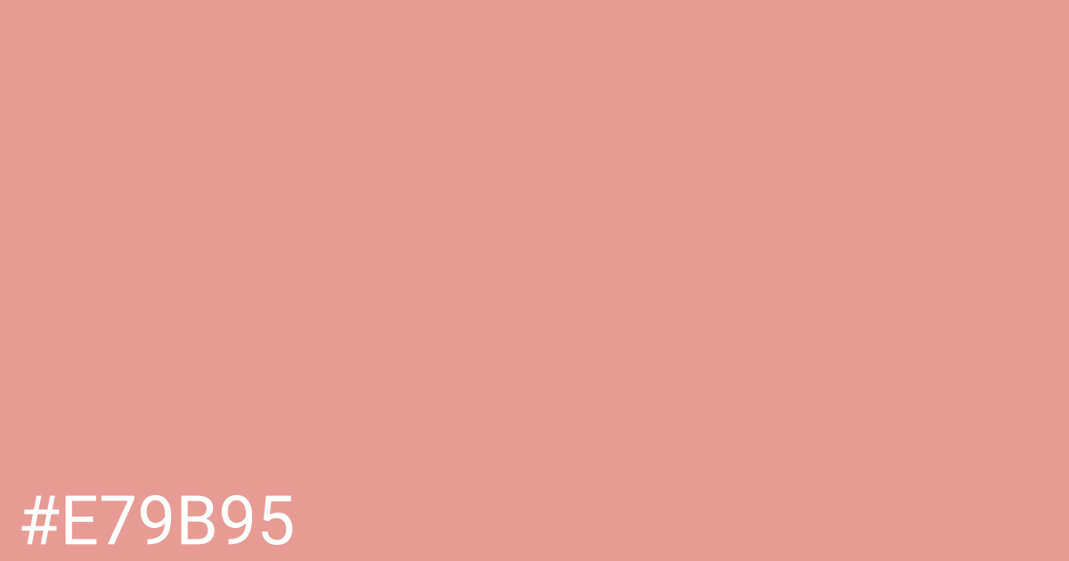 Hex color #e79b95 graphic