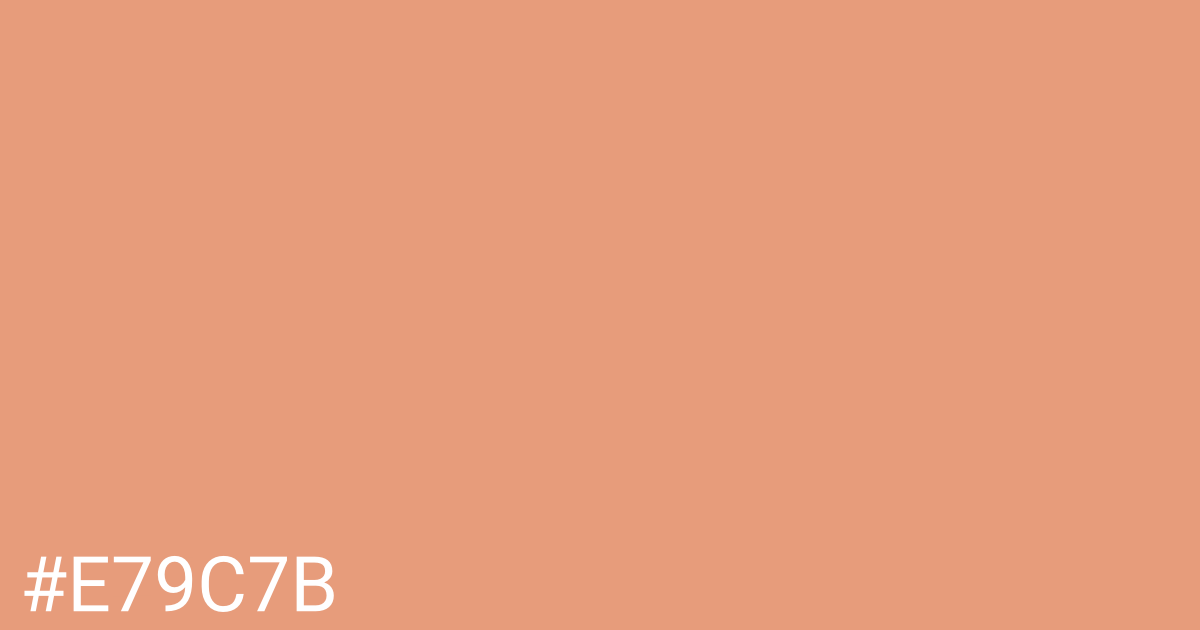 Hex color #e79c7b graphic