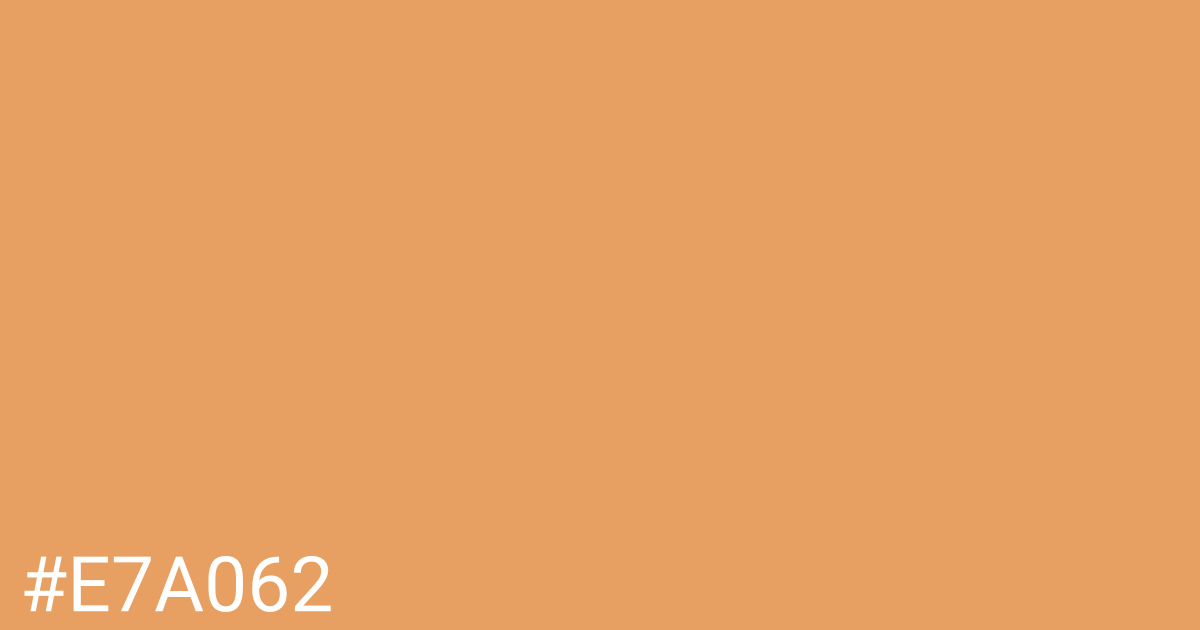 Hex color #e7a062 graphic