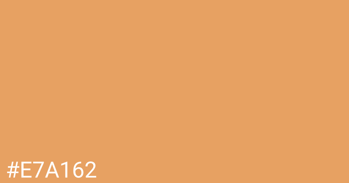 Hex color #e7a162 graphic