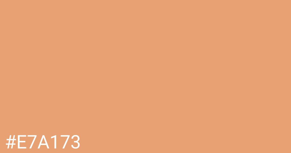 Hex color #e7a173 graphic