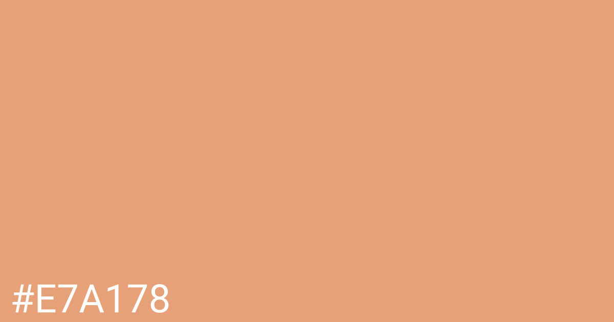 Hex color #e7a178 graphic