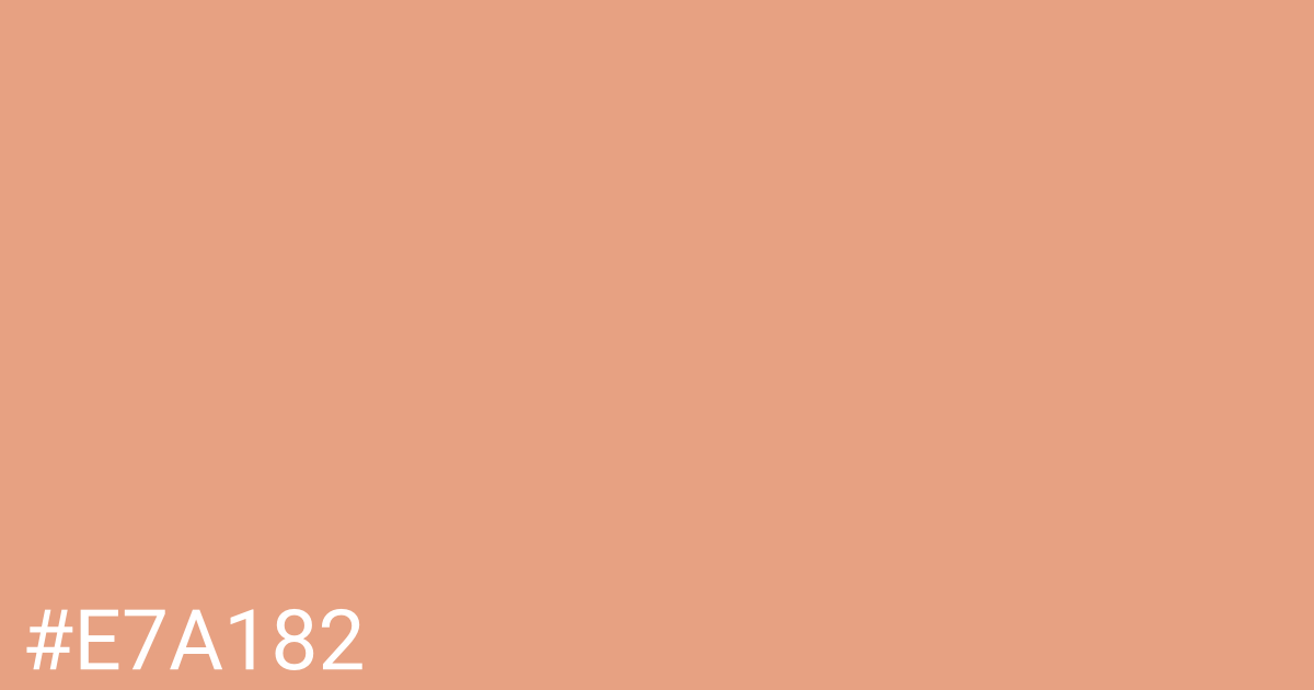 Hex color #e7a182 graphic