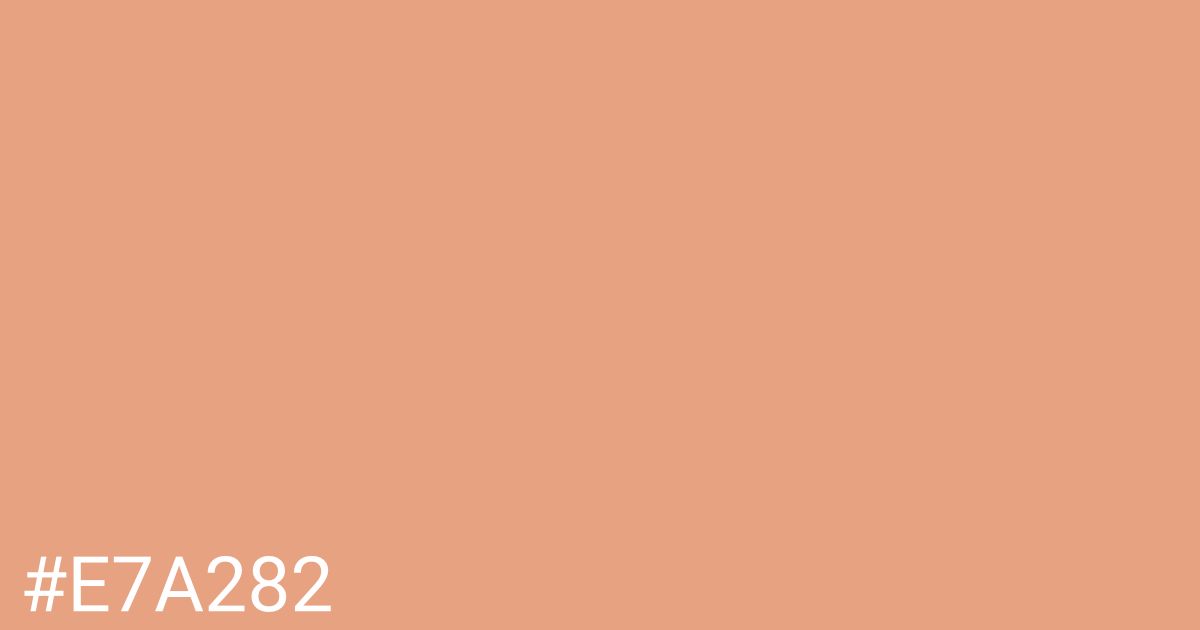 Hex color #e7a282 graphic