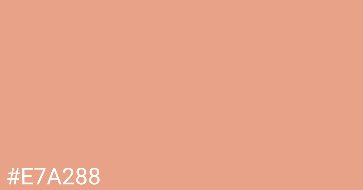 Hex color #e7a288 graphic