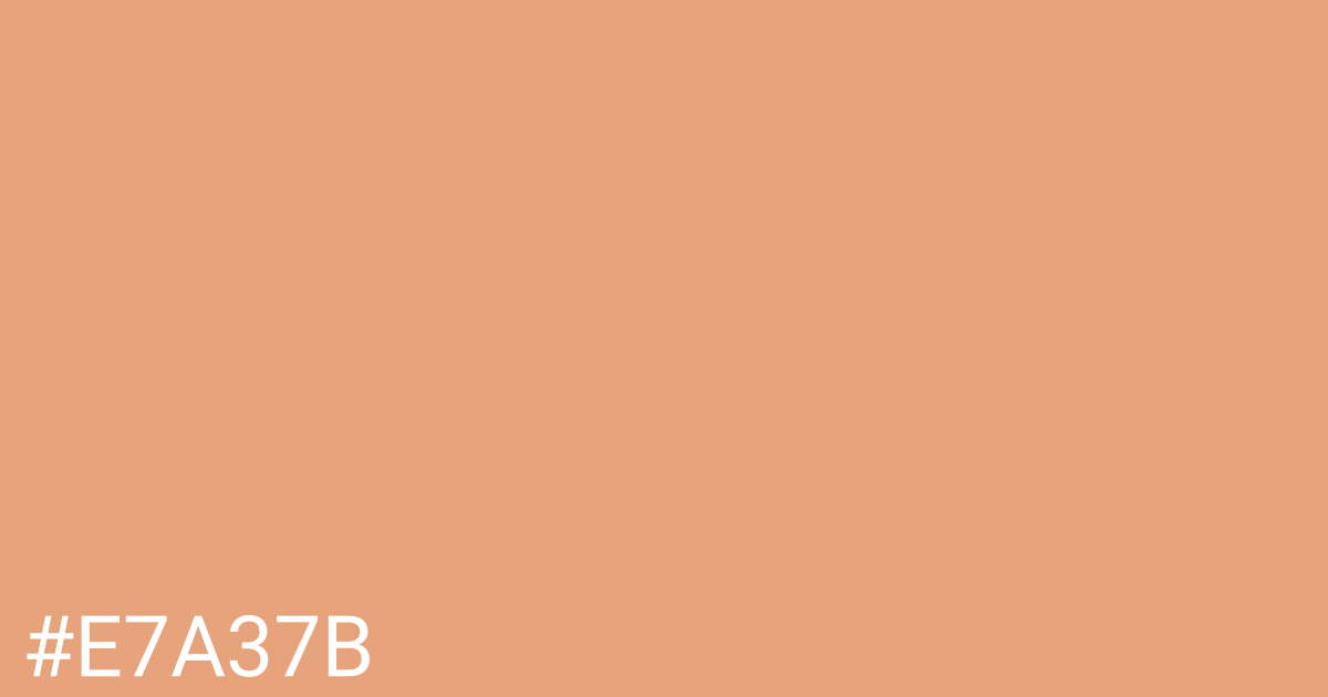 Hex color #e7a37b graphic