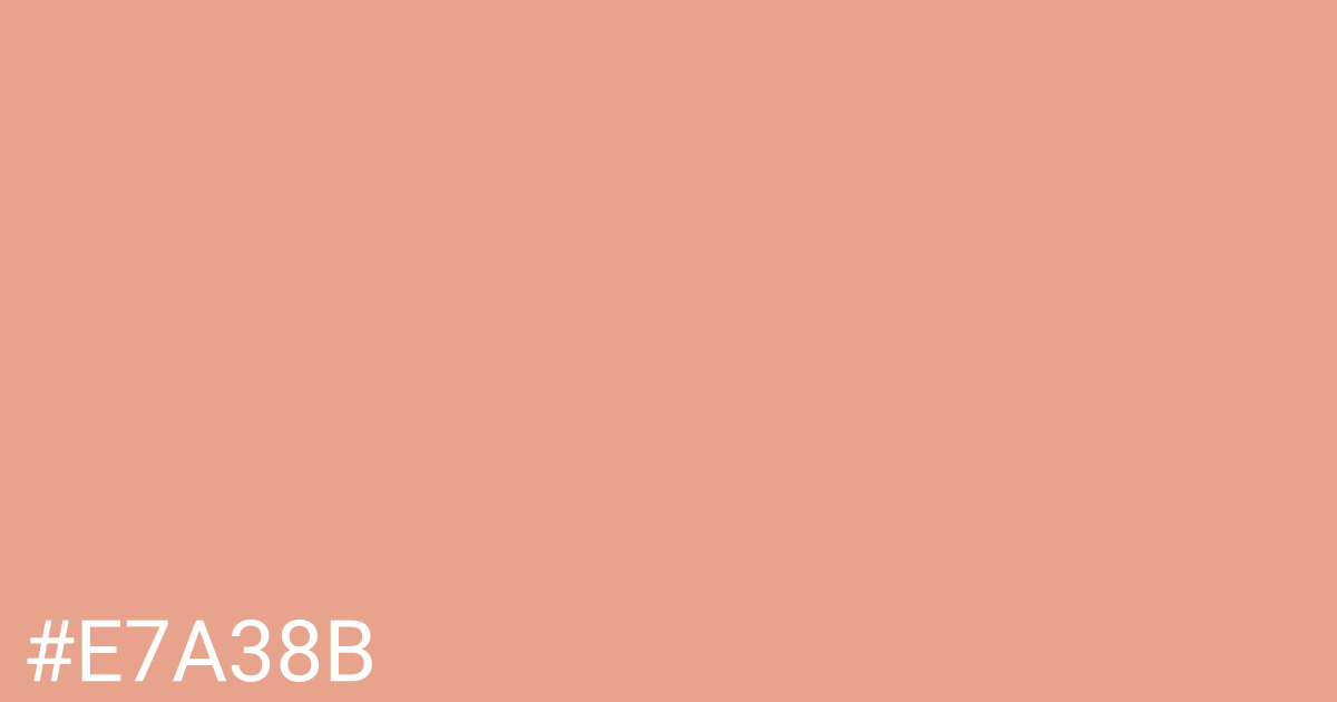 Hex color #e7a38b graphic