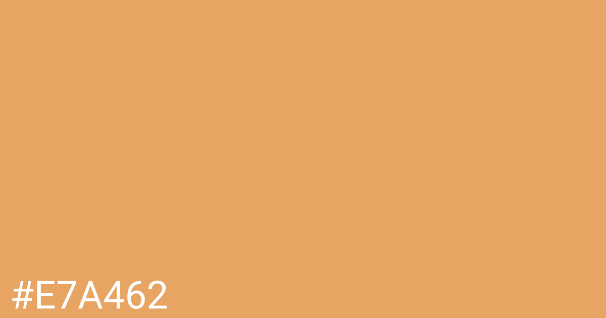 Hex color #e7a462 graphic