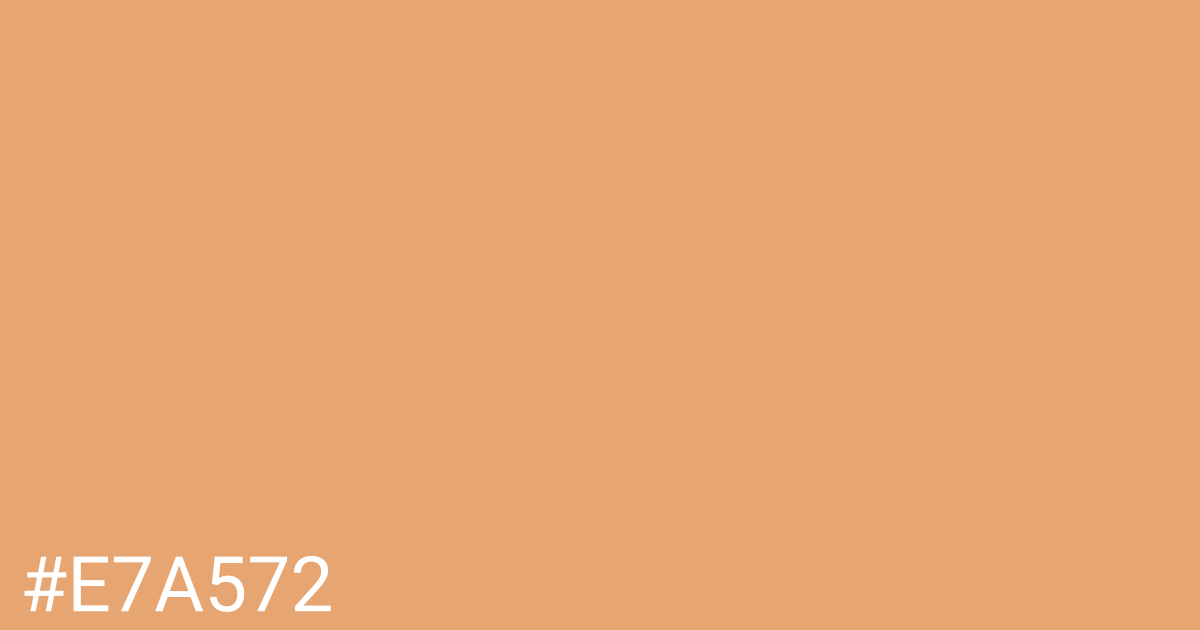 Hex color #e7a572 graphic