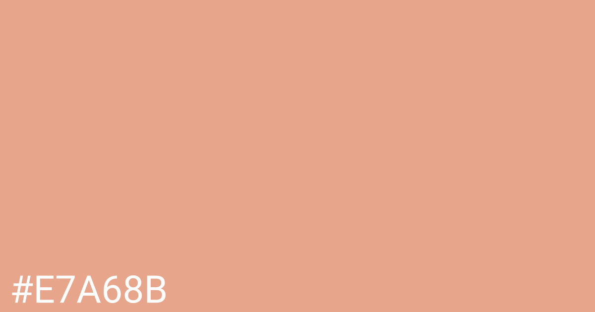 Hex color #e7a68b graphic