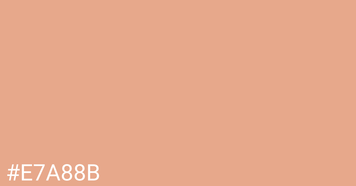 Hex color #e7a88b graphic