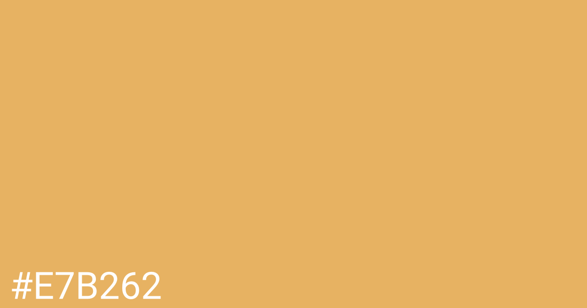 Hex color #e7b262 graphic