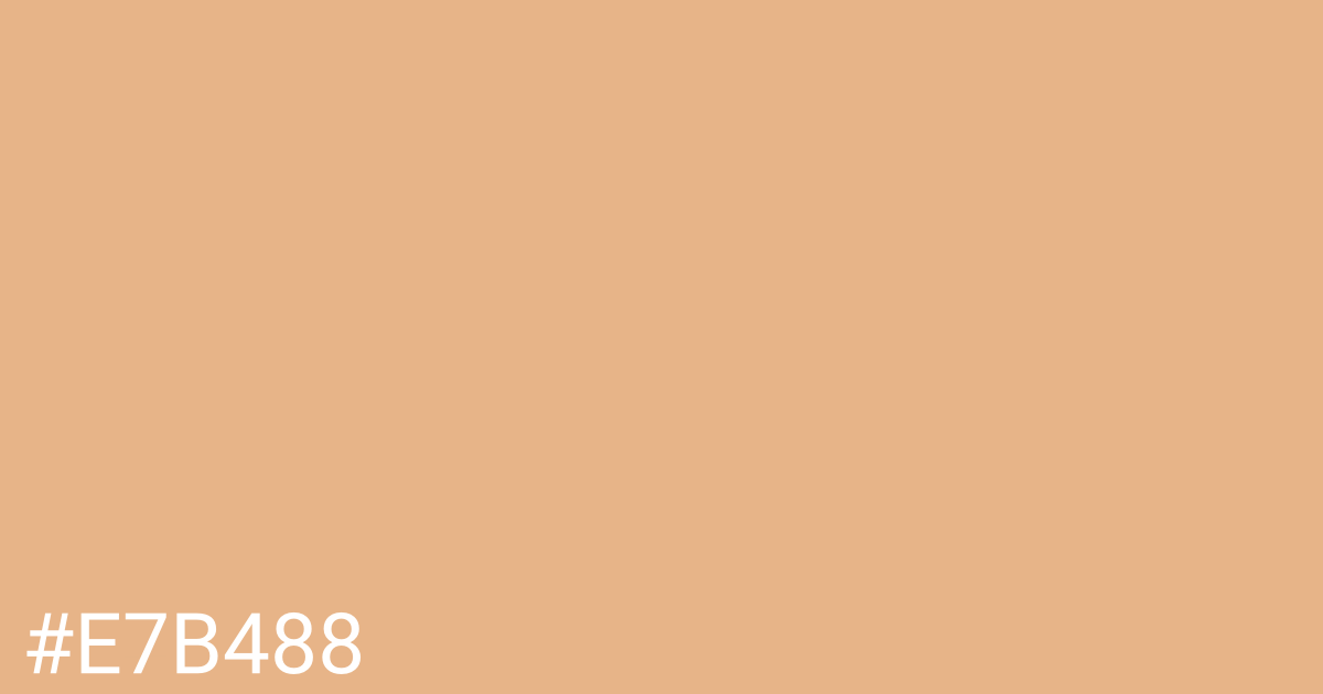 Hex color #e7b488 graphic