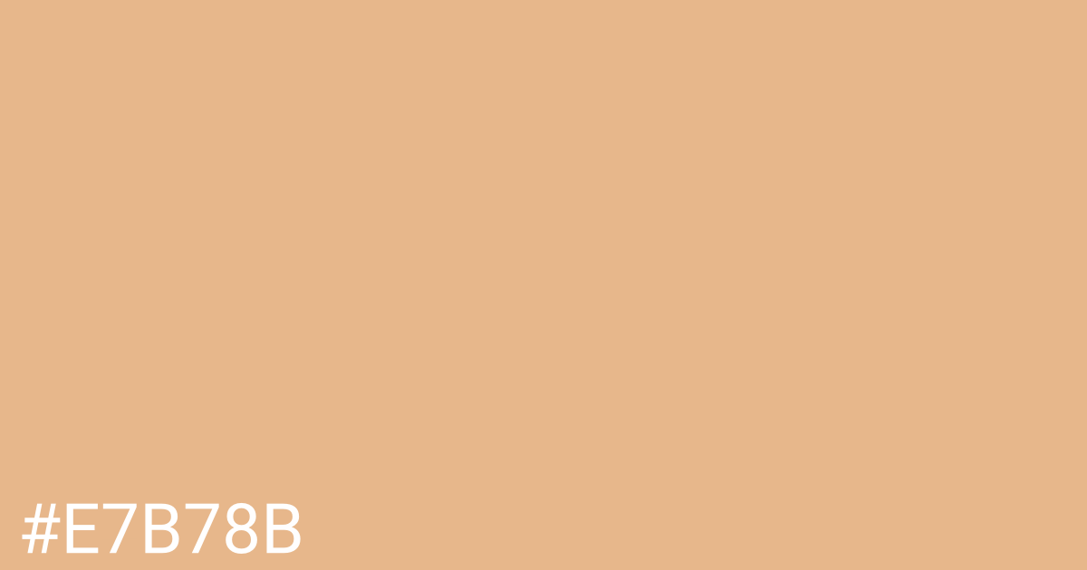 Hex color #e7b78b graphic